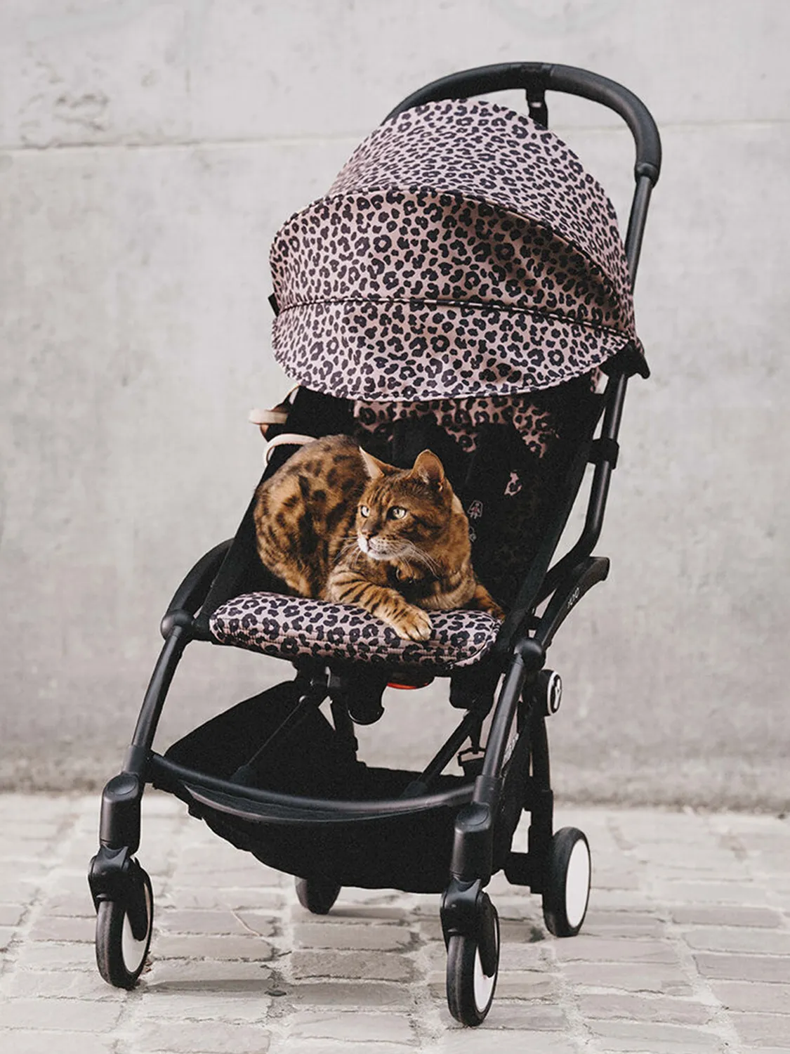 Капюшон и сиденье Stokke/Babyzen YOYO 6+