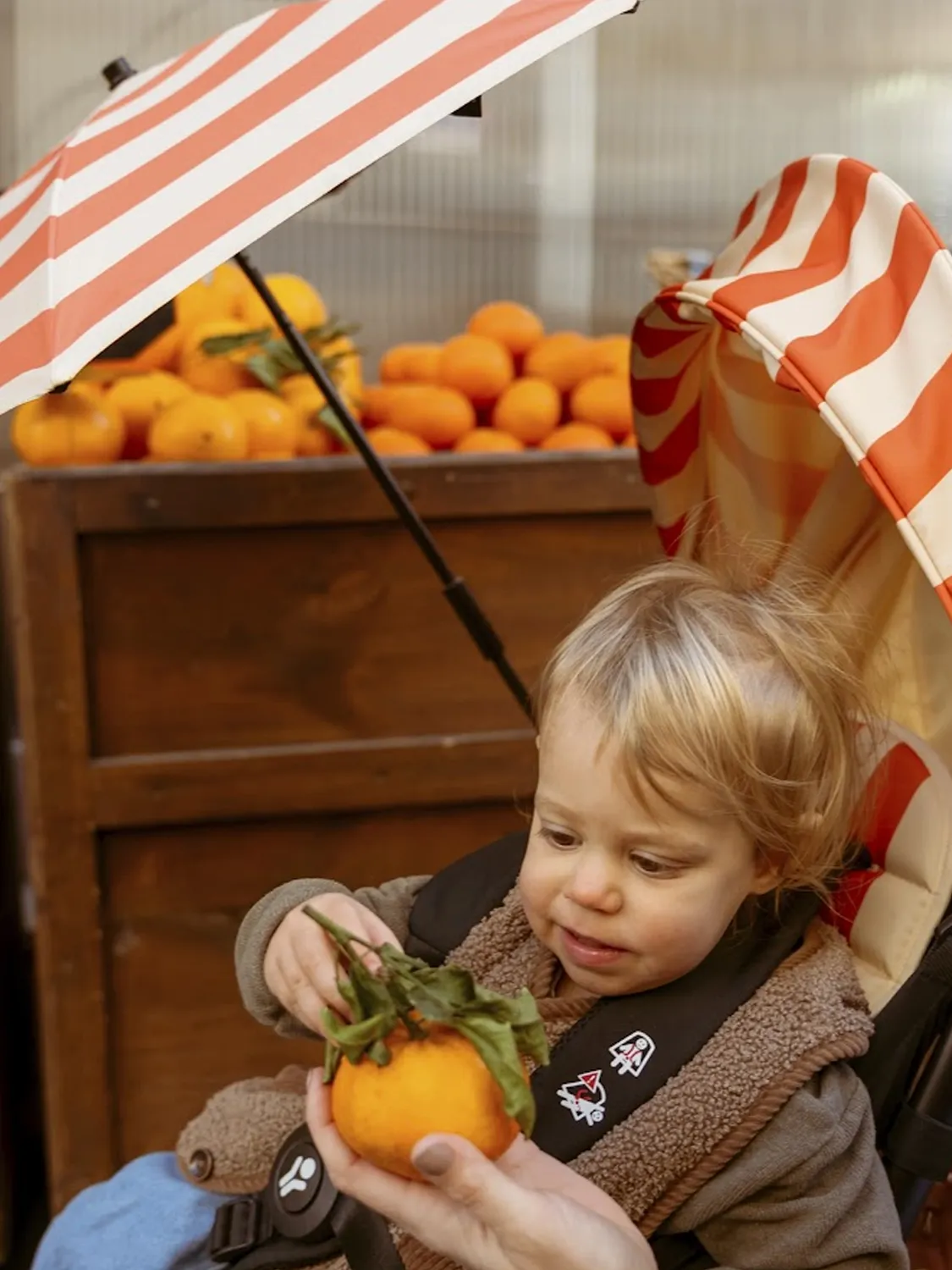 Комплект летний Stokke YOYO Riviera