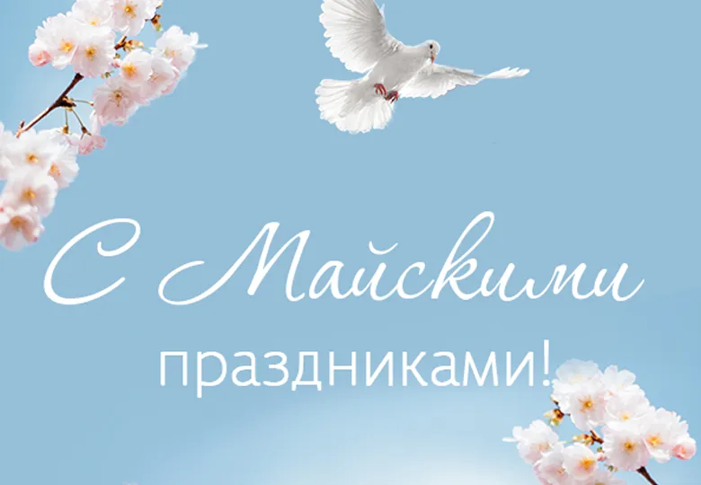 Картинка с размерами