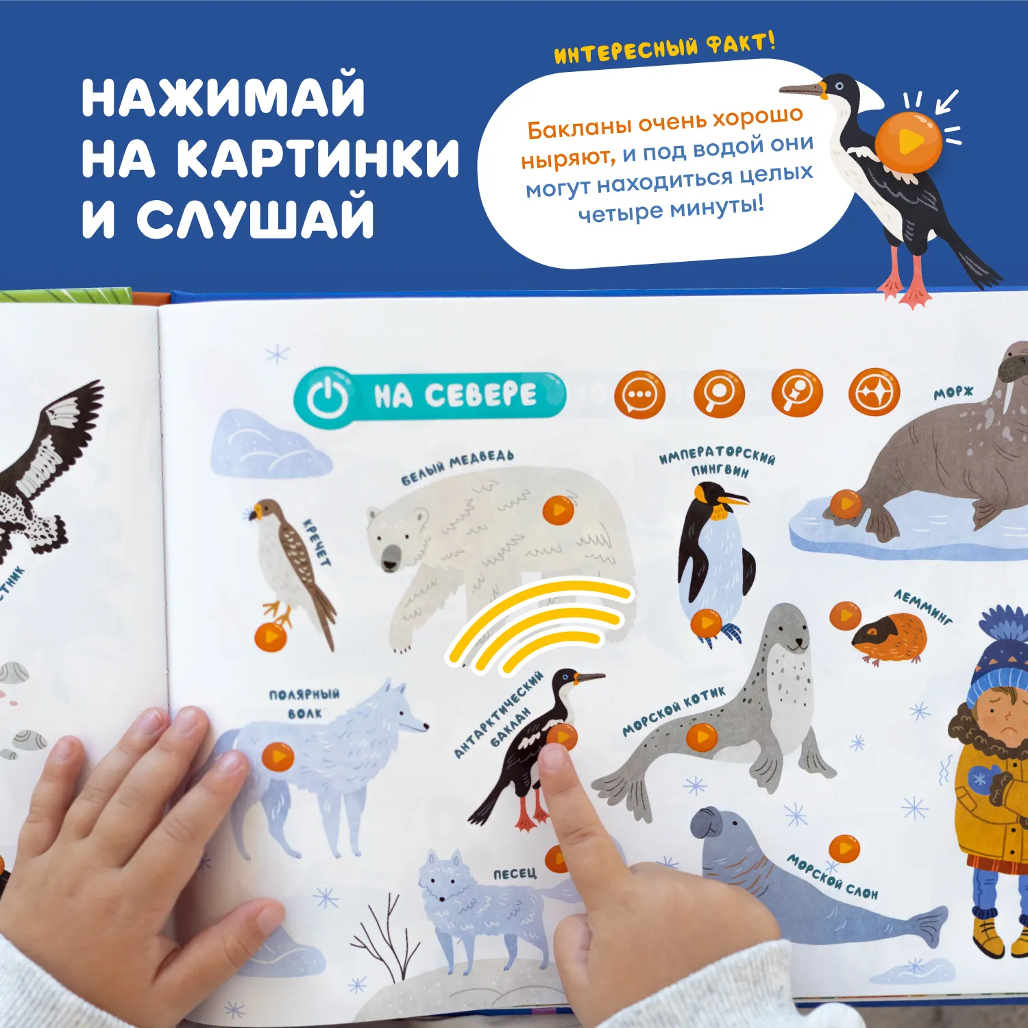 Книга интерактивная Abumba Fingerbook «Какие бывают животные»