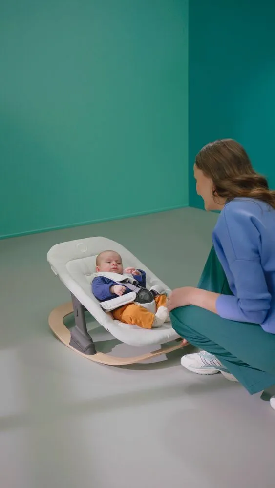 Сиденье Bugaboo Giraffe newborn set
