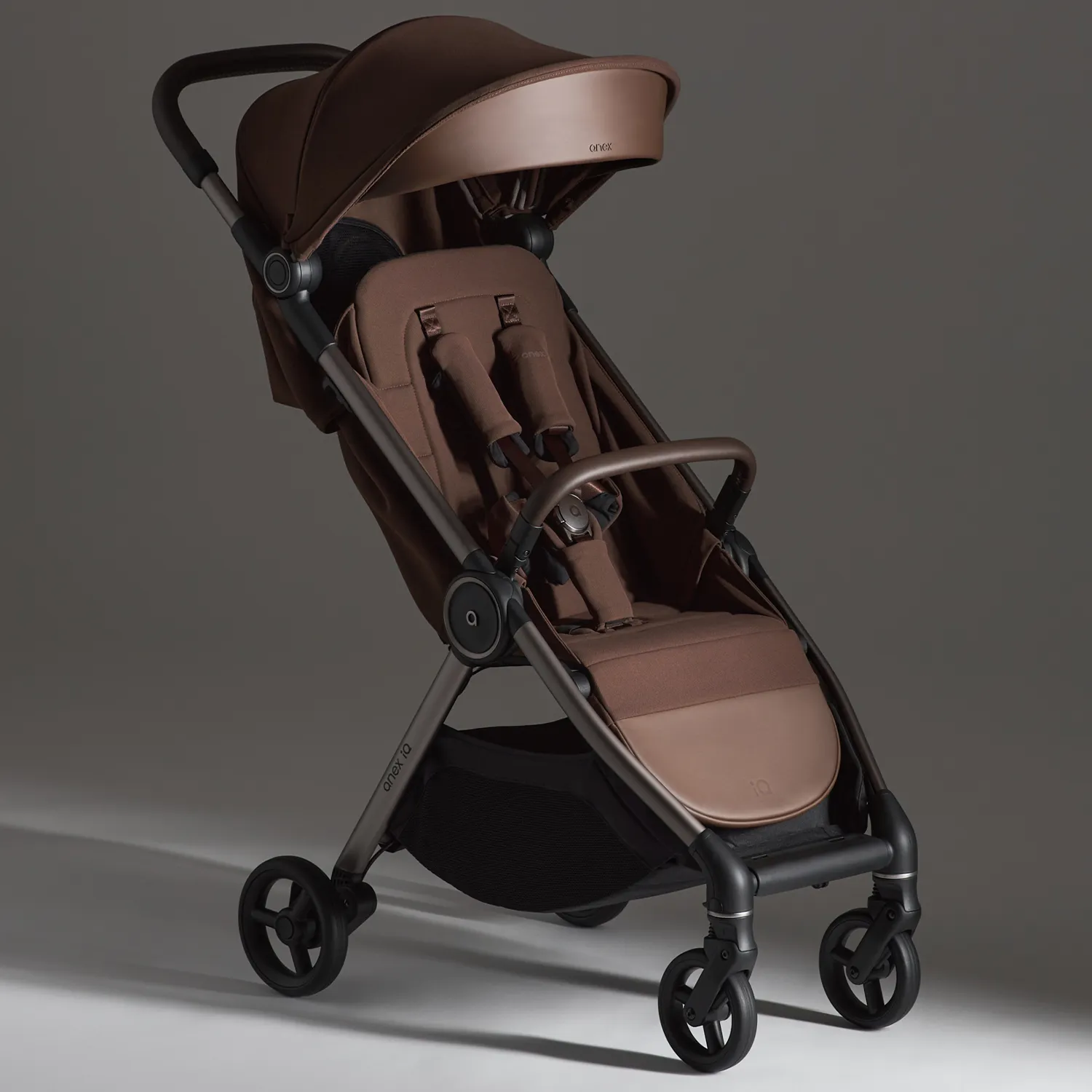 Коляска 2 в 1 Anex iQ Premium