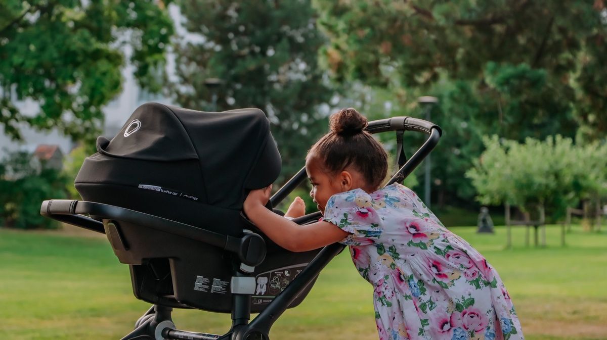Коляска 3 в 1 Bugaboo Fox 5 шасси Graphite
