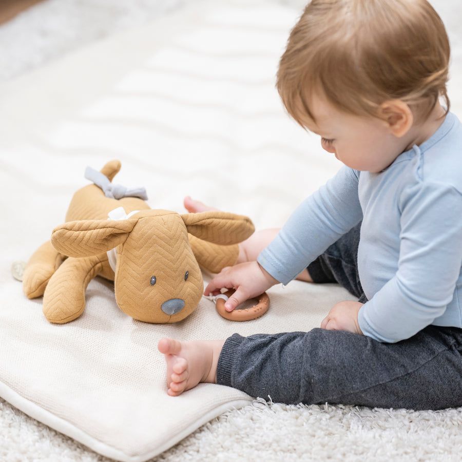 Игрушка мягкая Nattou Musical Soft toy Charlie Собачка caramel музыкальная 388030