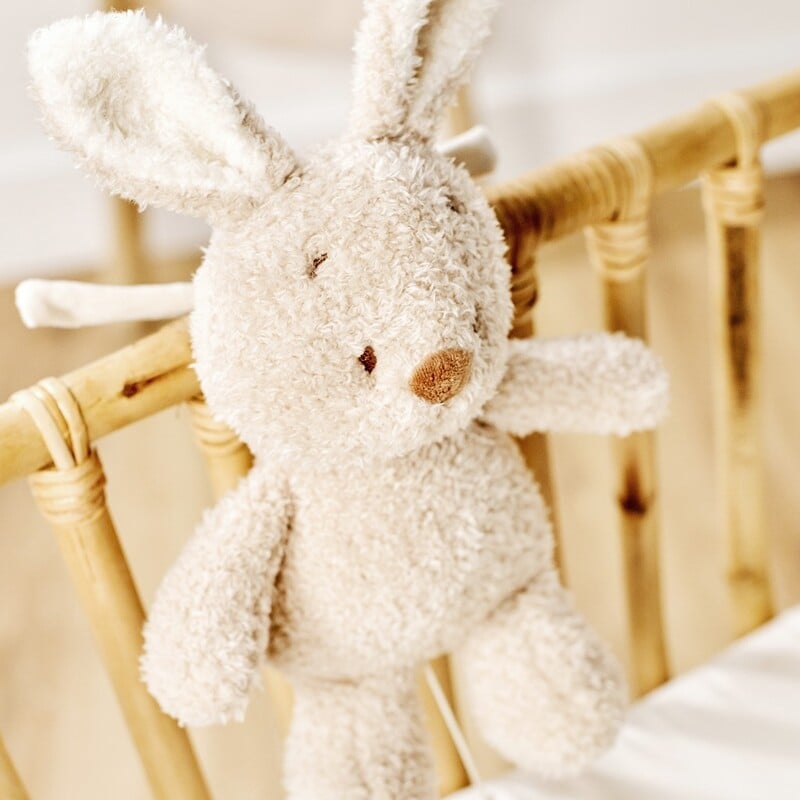 Игрушка мягкая Nattou Musical Soft toy музыкальная