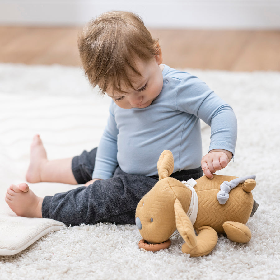 Игрушка мягкая Nattou Musical Soft toy Charlie Собачка caramel музыкальная 388030