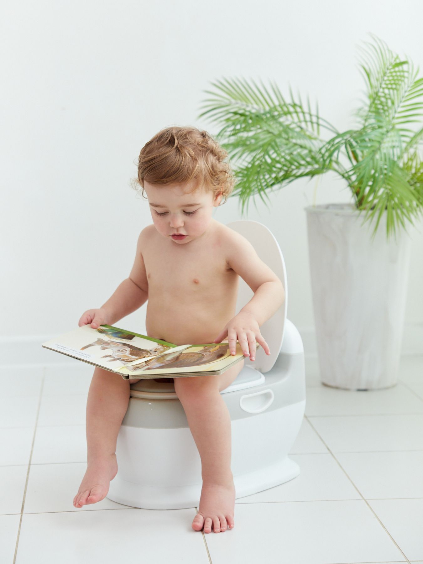 Горшок Happy Baby детский TOLLY в форме унитаза grey 34025