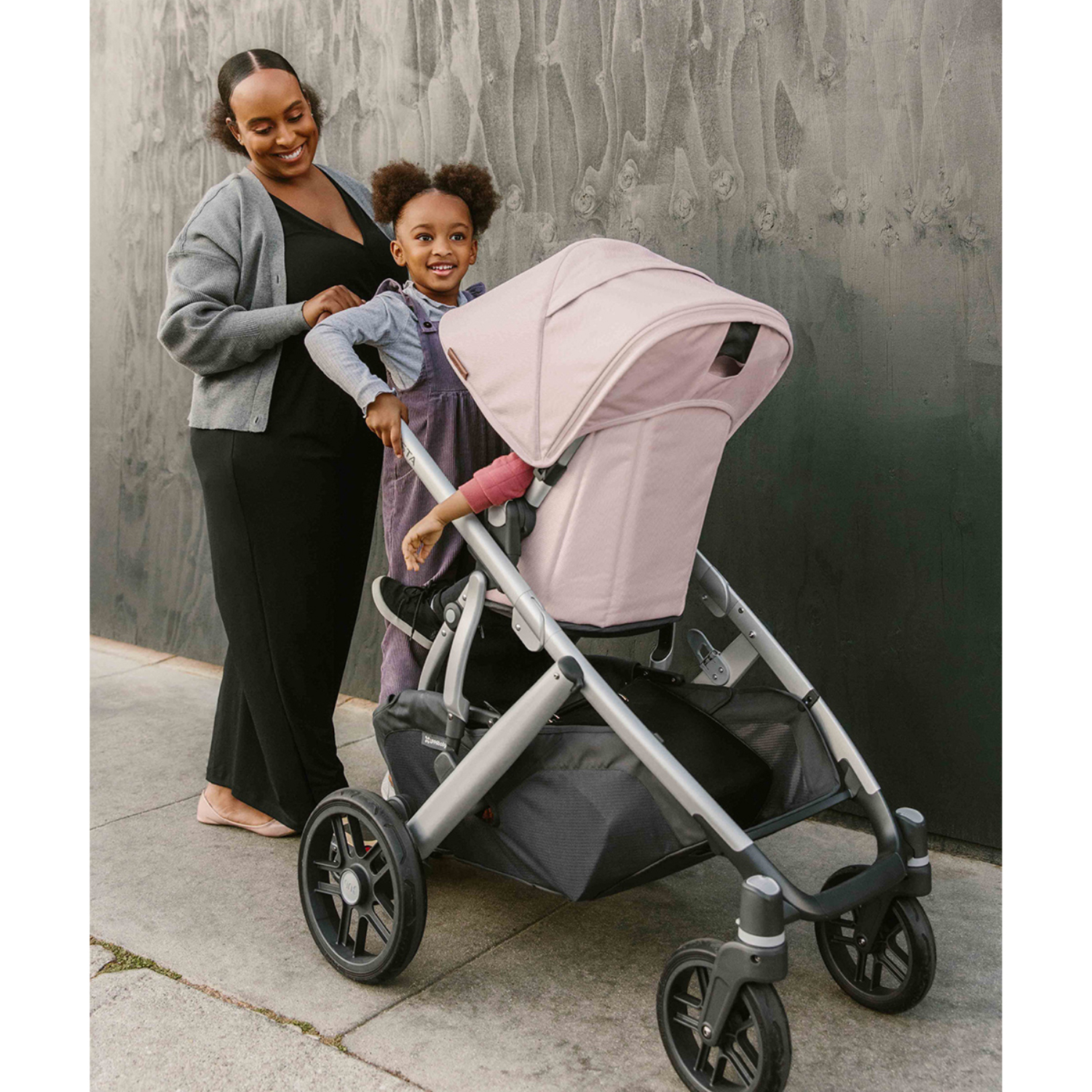Коляска 2 в 1 UPPAbaby Vista V2