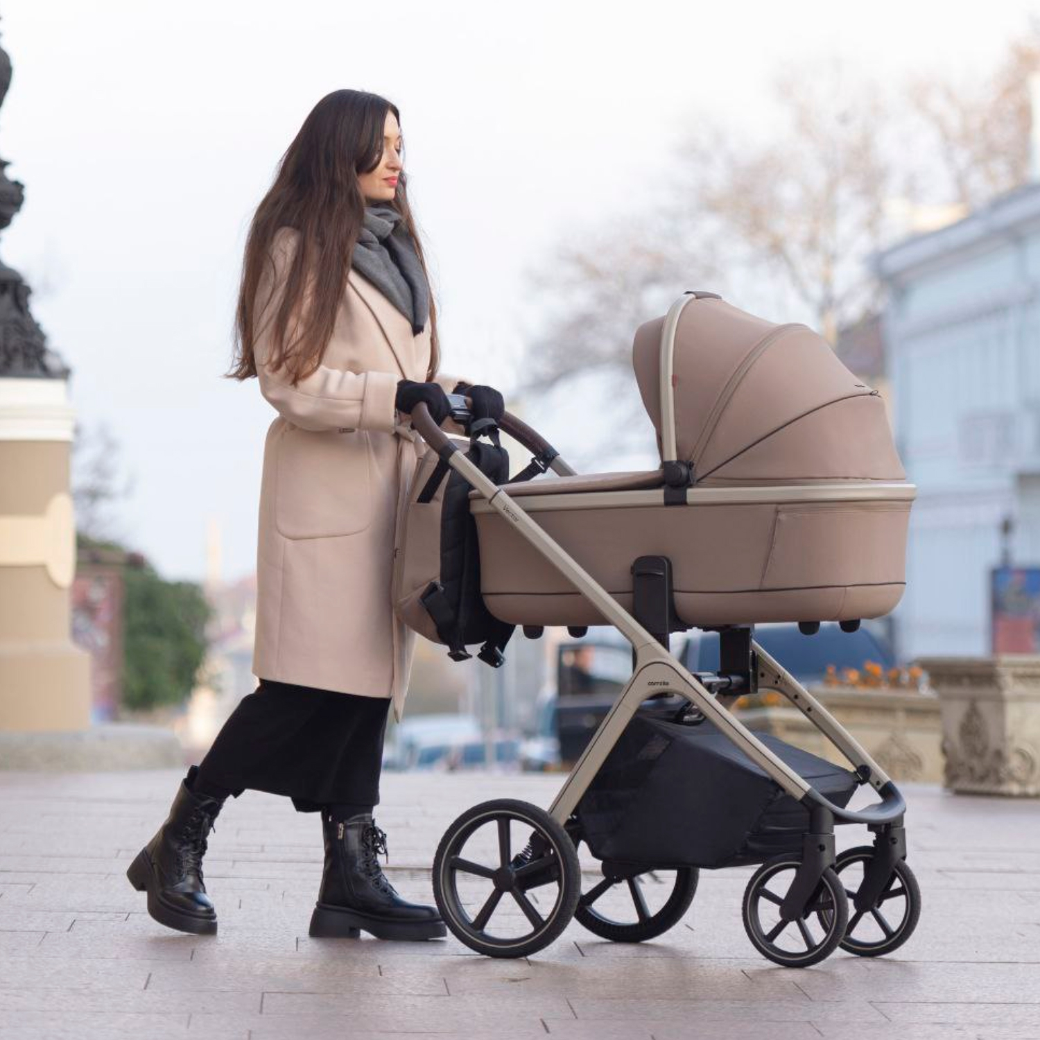 Коляска 2 в 1 CARRELLO Vector CRL-6550